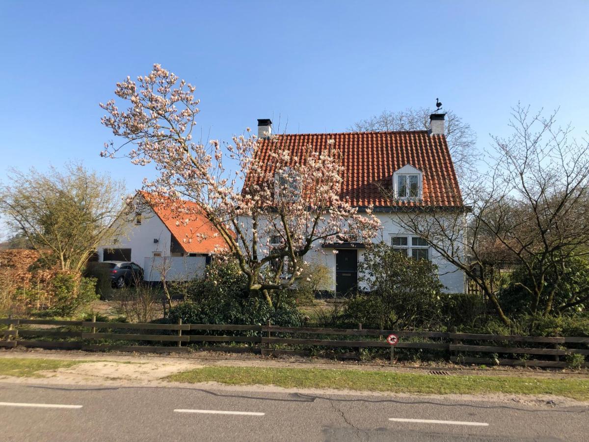 Bed and Breakfast Horse And Hound Riethoven Exterior foto