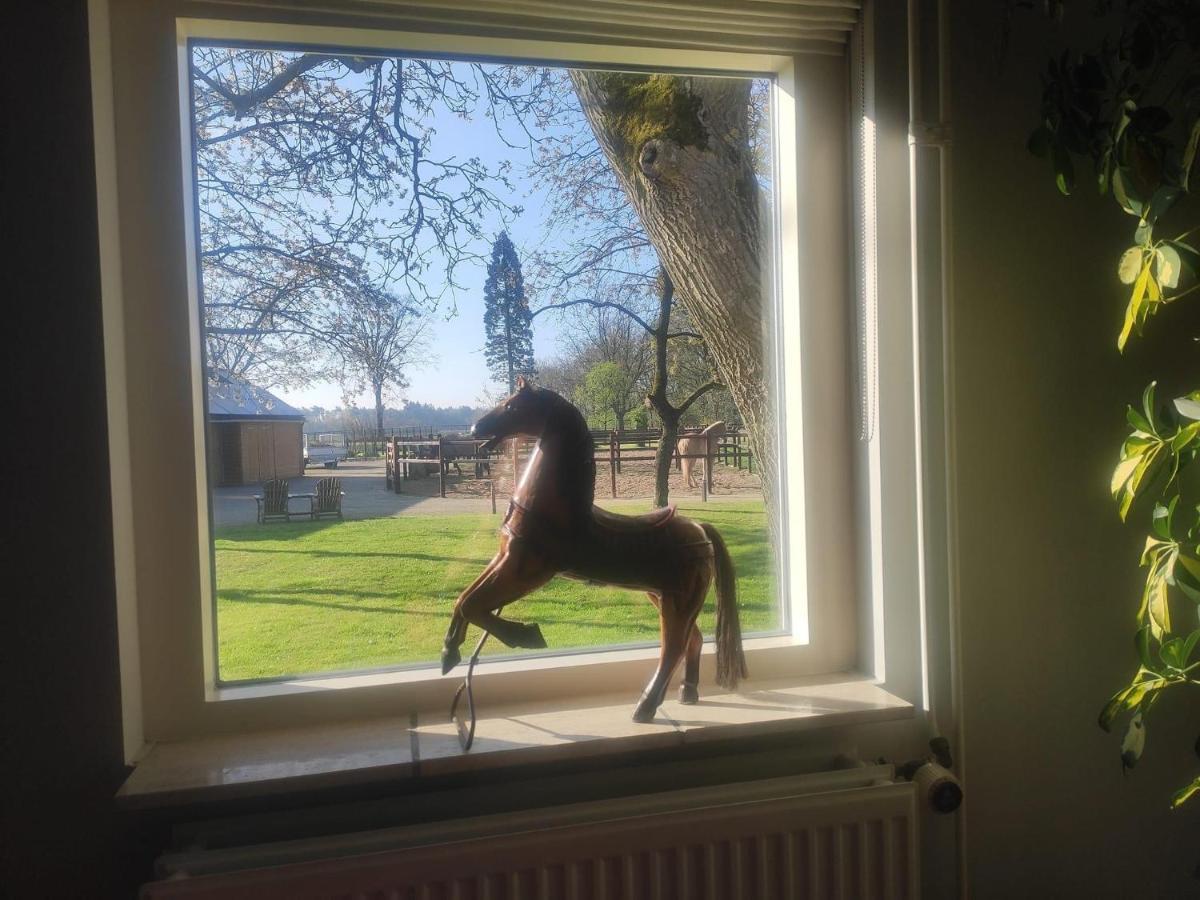 Bed and Breakfast Horse And Hound Riethoven Exterior foto