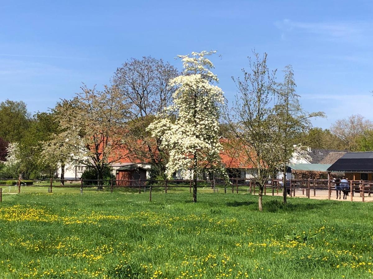 Bed and Breakfast Horse And Hound Riethoven Exterior foto